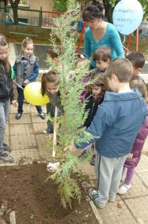 Посадиха дръвчета във всички детски градини