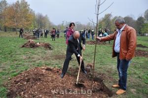 Софрониева гора посадиха във Враца