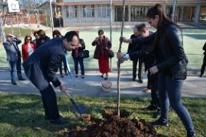 Кмет, сенатор и ученици засадиха дръвчета в Алеята на франкофонията
