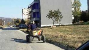 Конфискуваха кон и каруца във Враца